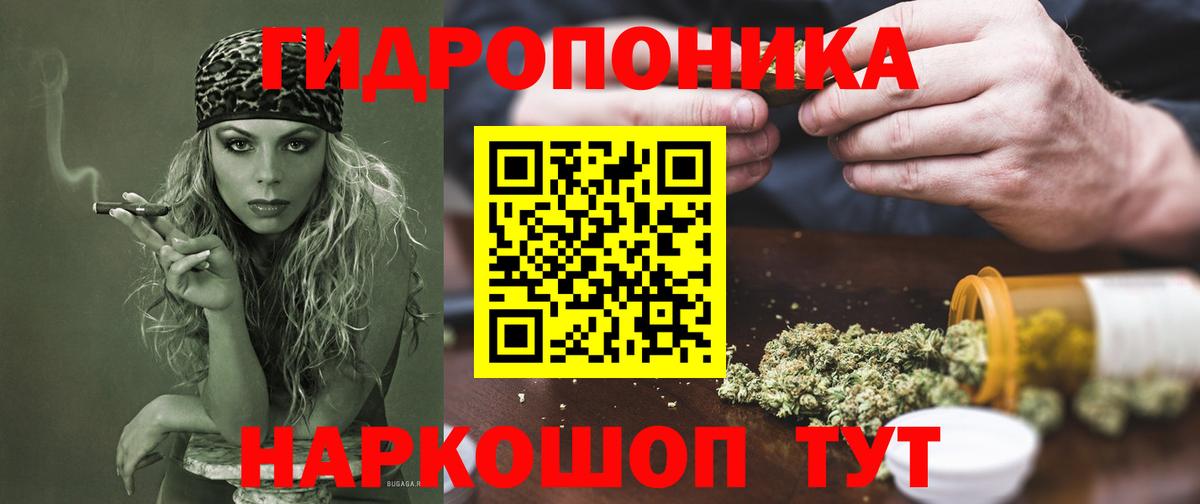Конопля индика  Бошки Шишки индика  Вход с VPN  Керчь 